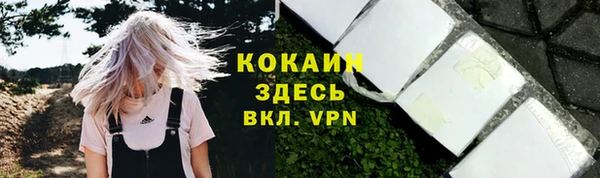 ешки Каменка