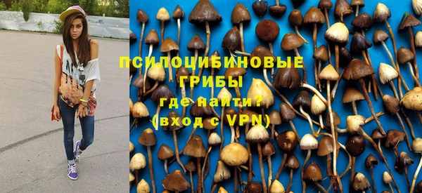 марки nbome Каменногорск