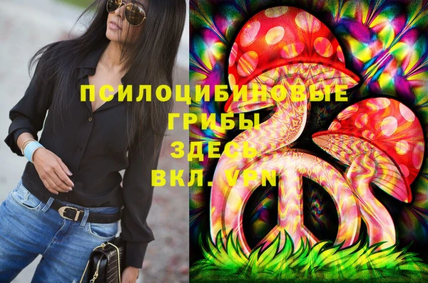 ешки Каменка