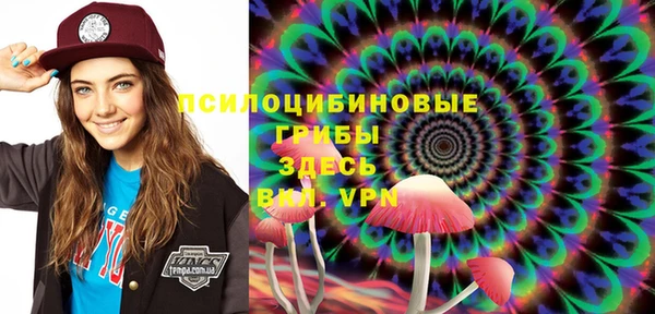 марки lsd Карпинск