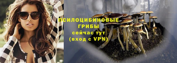 ешки Каменка