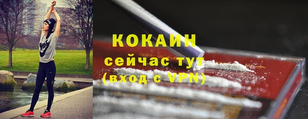 ешки Каменка