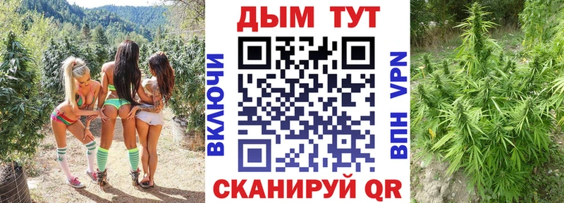 Марихуана конопля  Купить закладки  Белореченск 